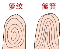 指纹测算