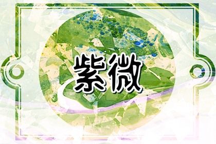 财帛宫看什么